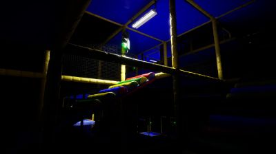 Backrooms 11